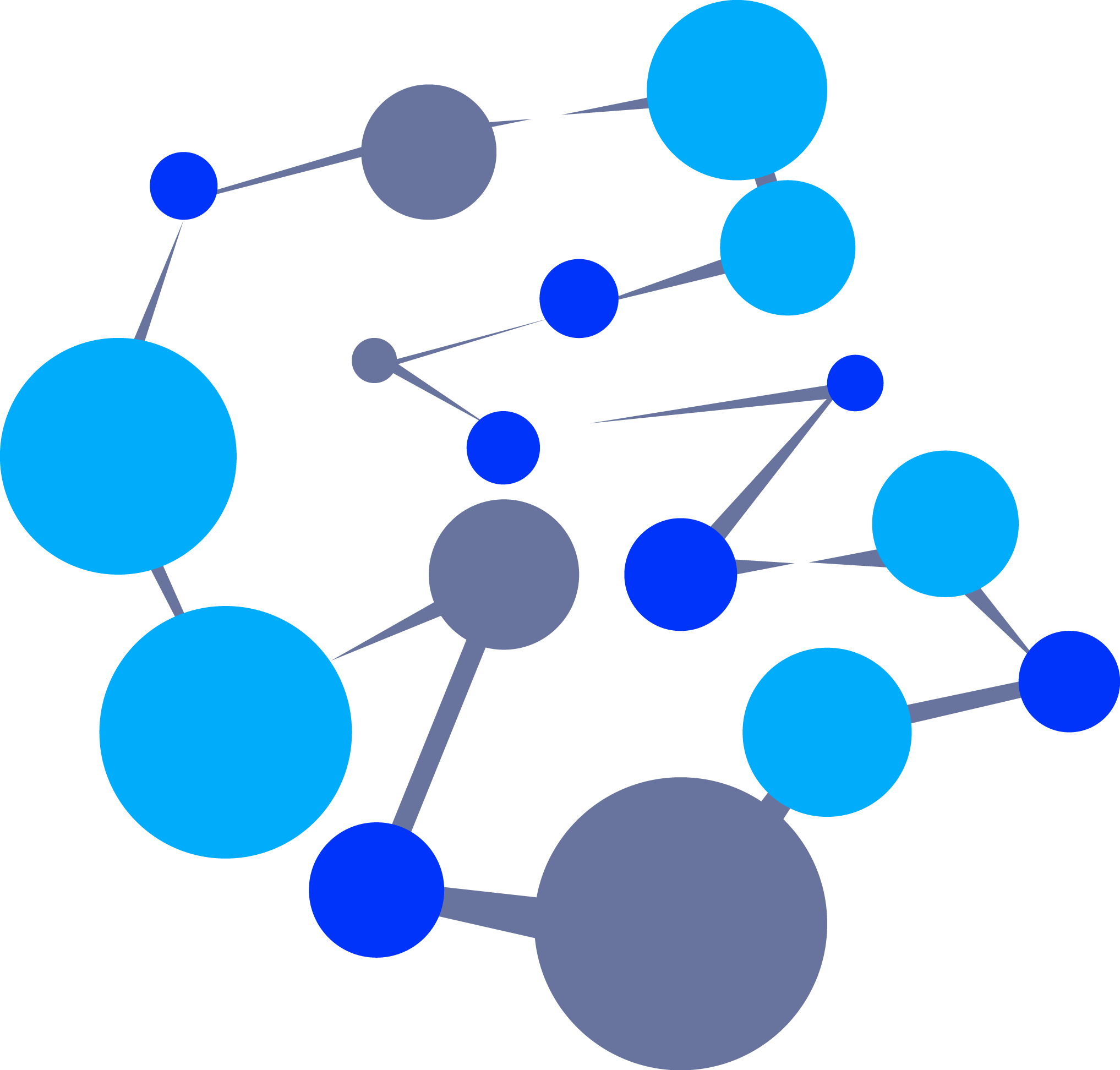 Network & IT Infrastructure